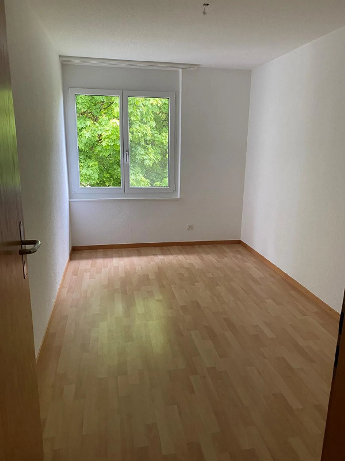 Appartamento 4,5 stanze recentemente ristrutturato con nuova cucina e nuovi bagni - Foto 7 di 20