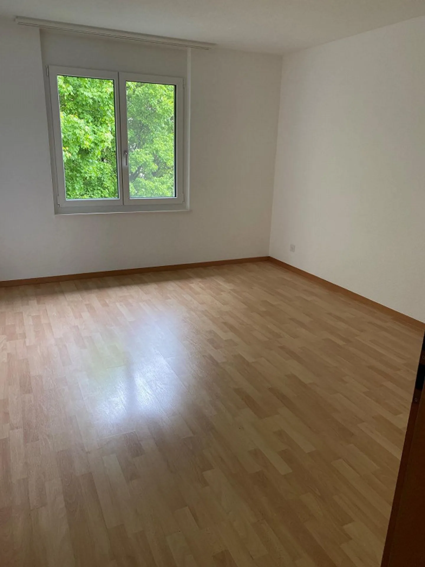 Appartamento 4,5 stanze recentemente ristrutturato con nuova cucina e nuovi bagni - Foto 8 di 20