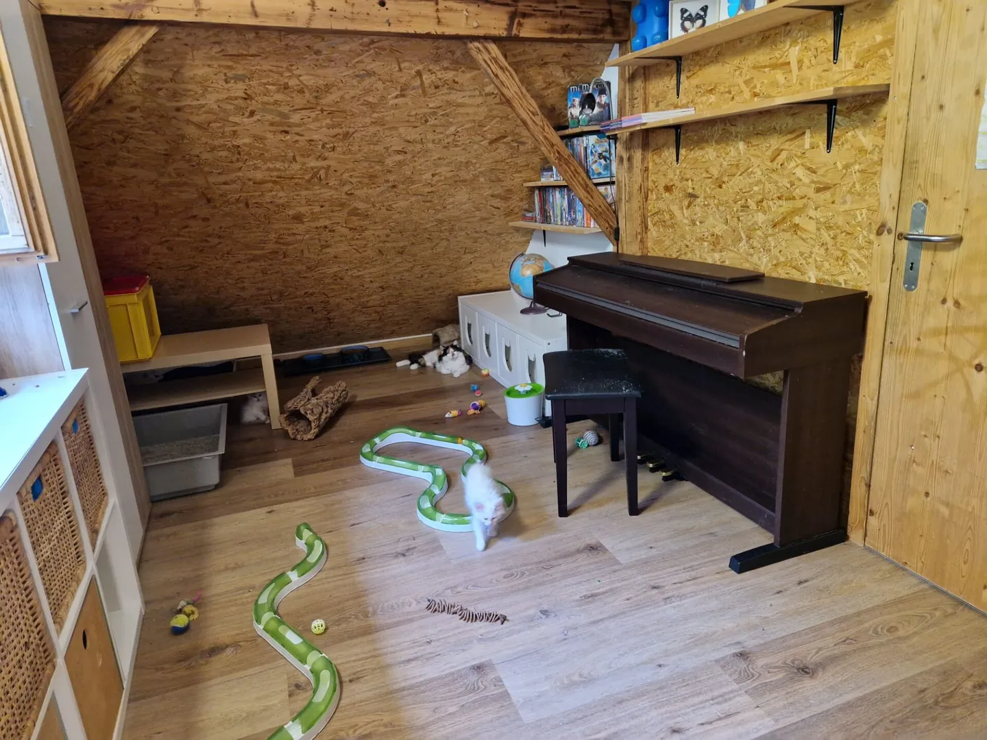 Single house for sale - Photo 5 of 9