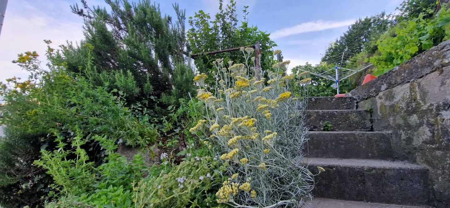 Single house for sale - Photo 7 of 9