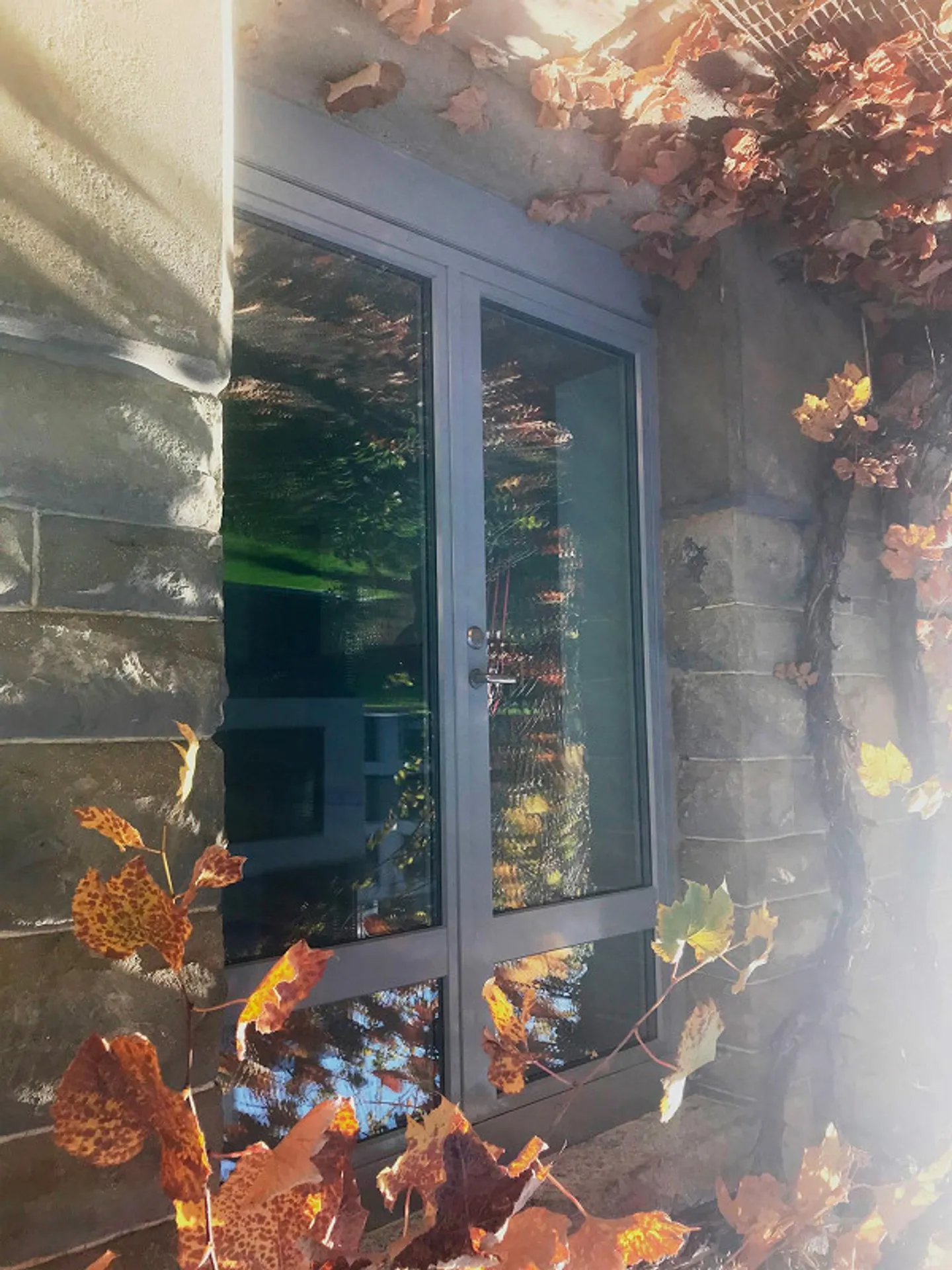 Villa Solitude 2-Room Garden Apartment - Photo 7 of 12