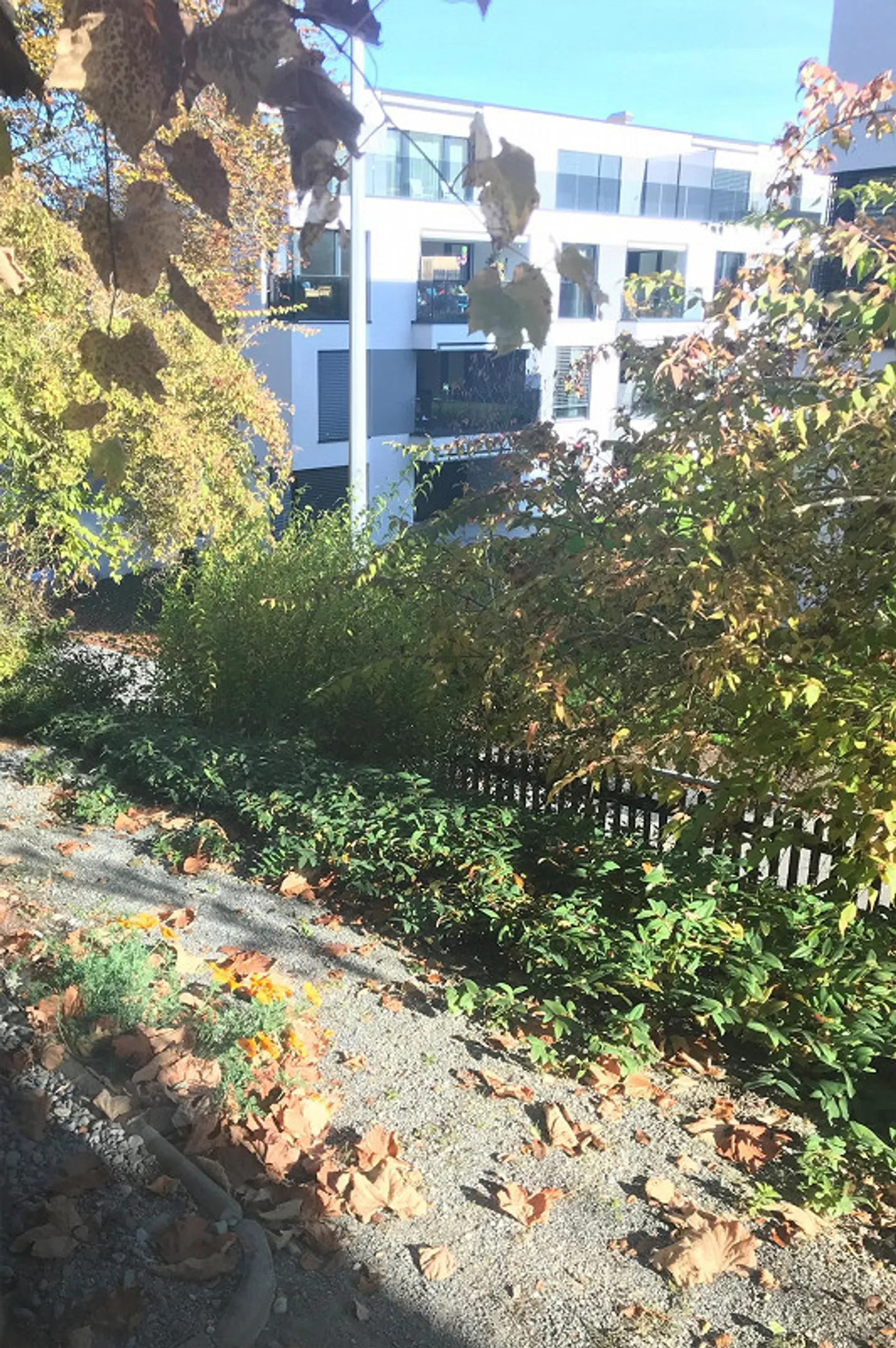 Villa Solitude 2-Room Garden Apartment - Photo 8 of 12