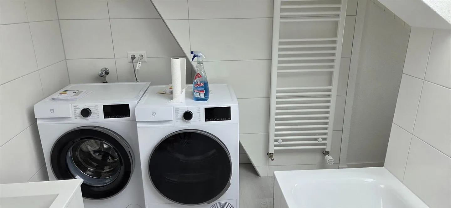 Completely renovated 3-room apartment with large balcony - Photo 3 of 13