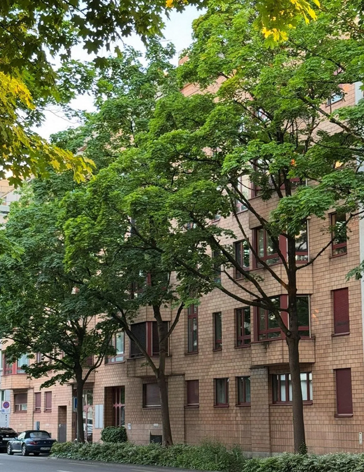 Luminoso appartamento di 2 stanze nel cuore di Basilea in affitto - Foto 2 di 2