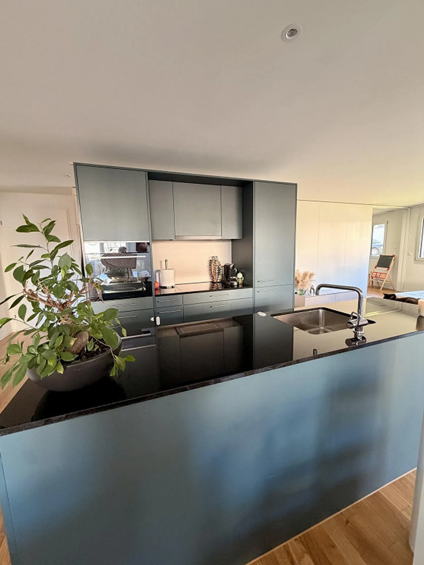 Appartamento 3.5 stanze vicino al Hallwillersee - Foto 8 di 12