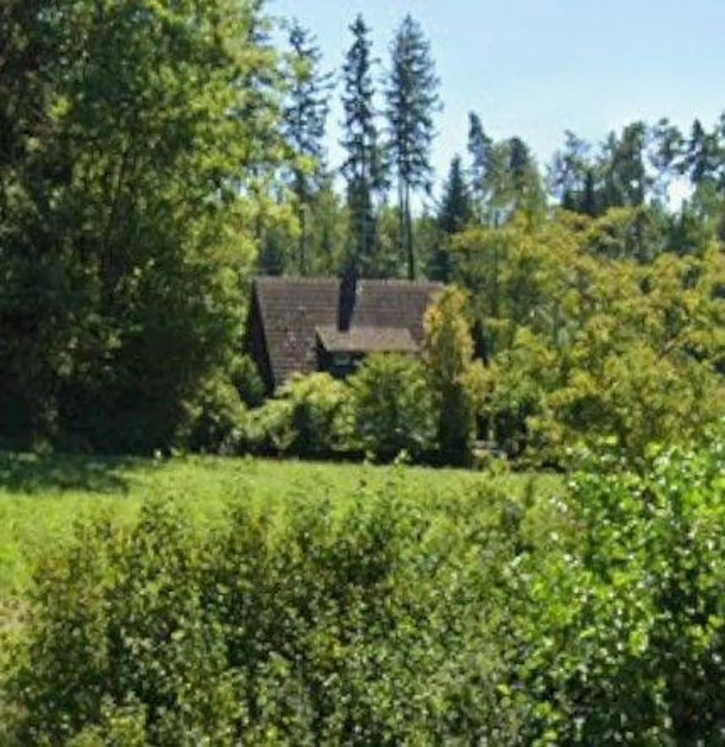Casa unifamiliare nel verde - Foto 6 di 13
