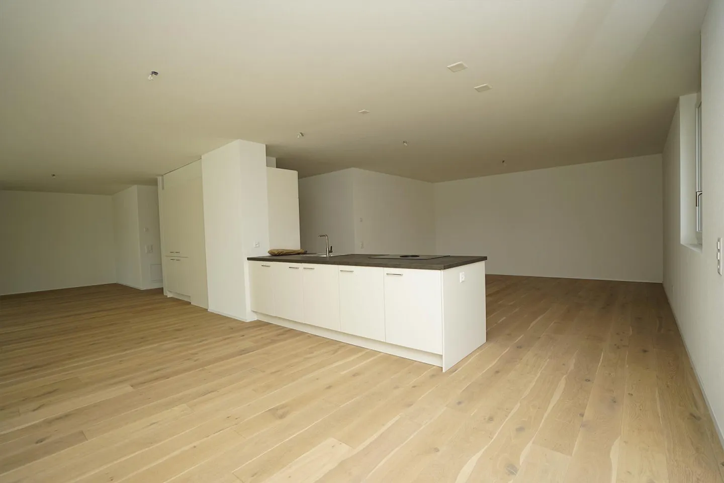 Grosszügige, moderne Loftwohnung - Stilvolles Wohnen auf 92m² - Foto 3 von 6
