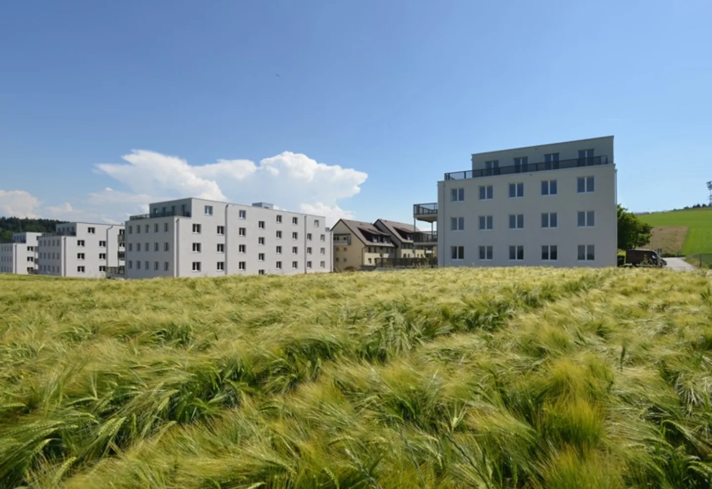 Appartamento moderno a Niederwangen - Affitto senza deposito - Foto 1 di 5