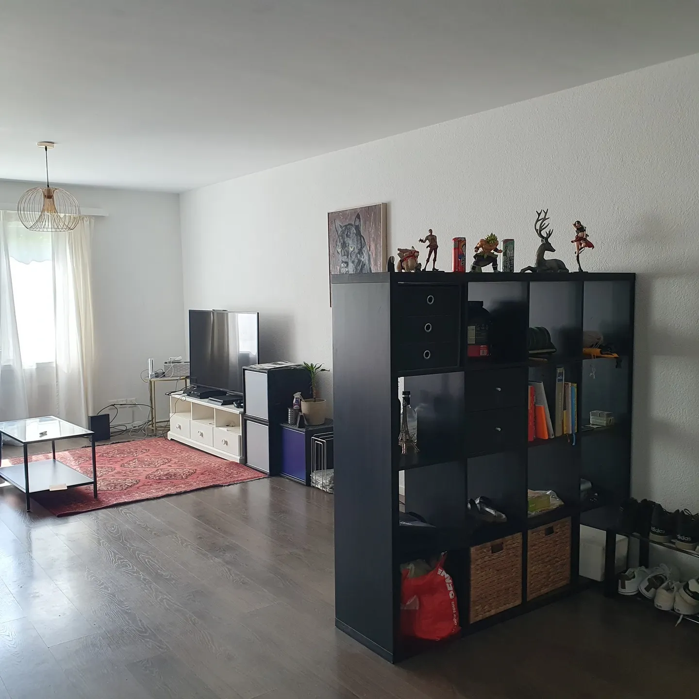 PER GLI AMANTI DEI GATTI A WETZIKON (ZH), ARREDATO, TEMPORANEO - Foto 2 di 8