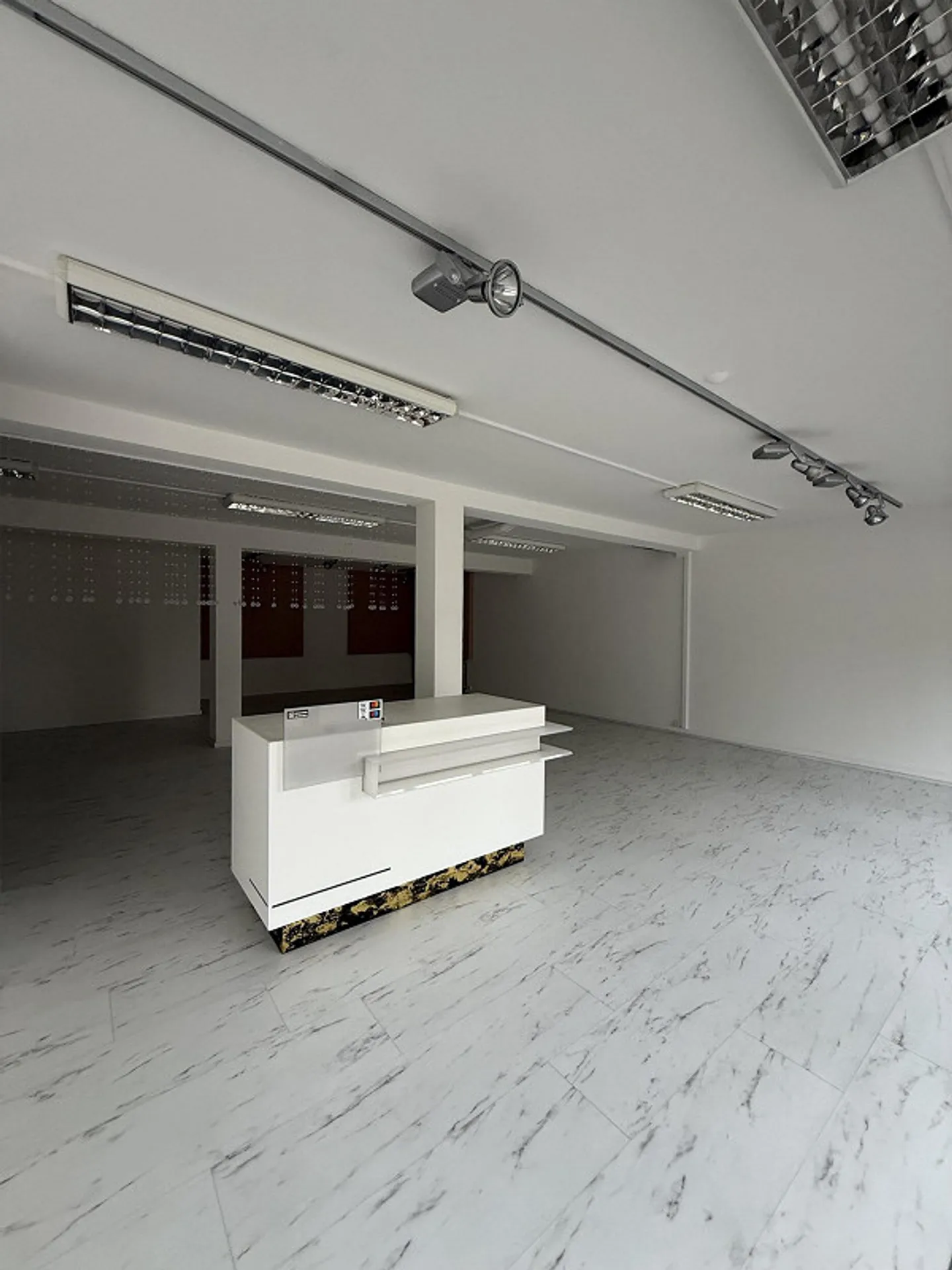 Commercial Space in St. Gallen - Photo 9 of 13