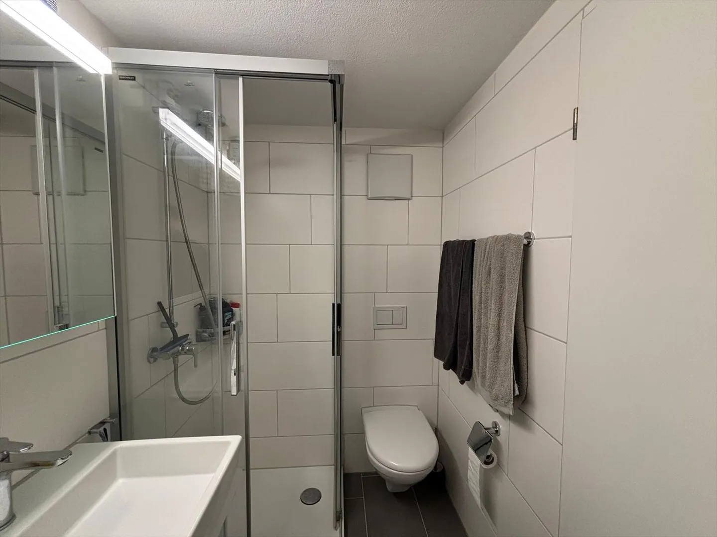 Appartement 4.5 pièces - Photo 12 sur 12