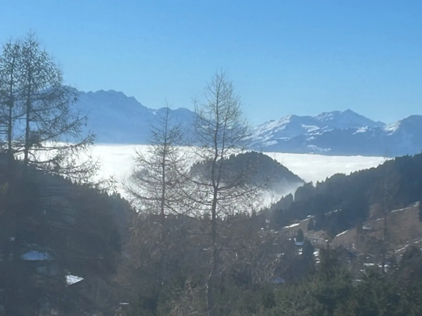 Appartement 2 pièces - Photo 1 sur 19