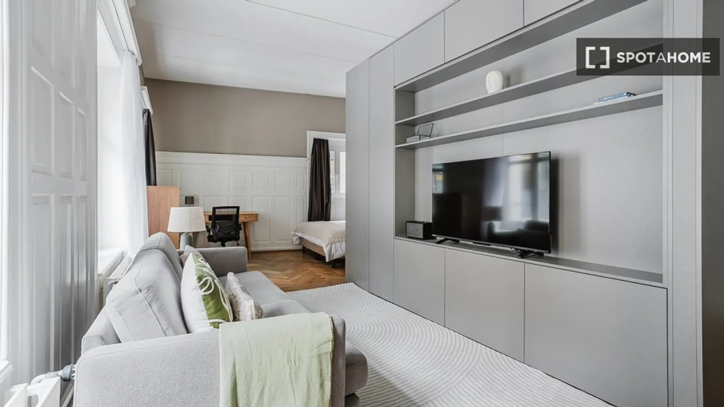 Charming Apartment in Zurich - Photo 1 of 18