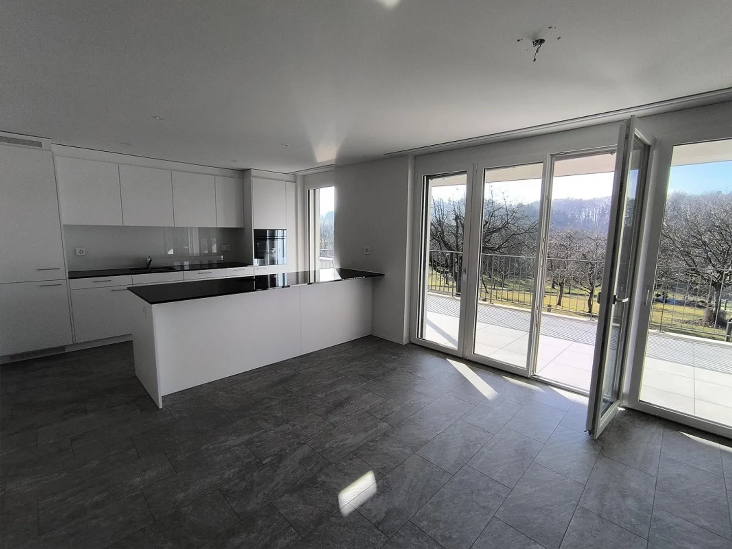 New, Modern 3.5 Room Apartment near Frauenfeld - Photo 1 of 9