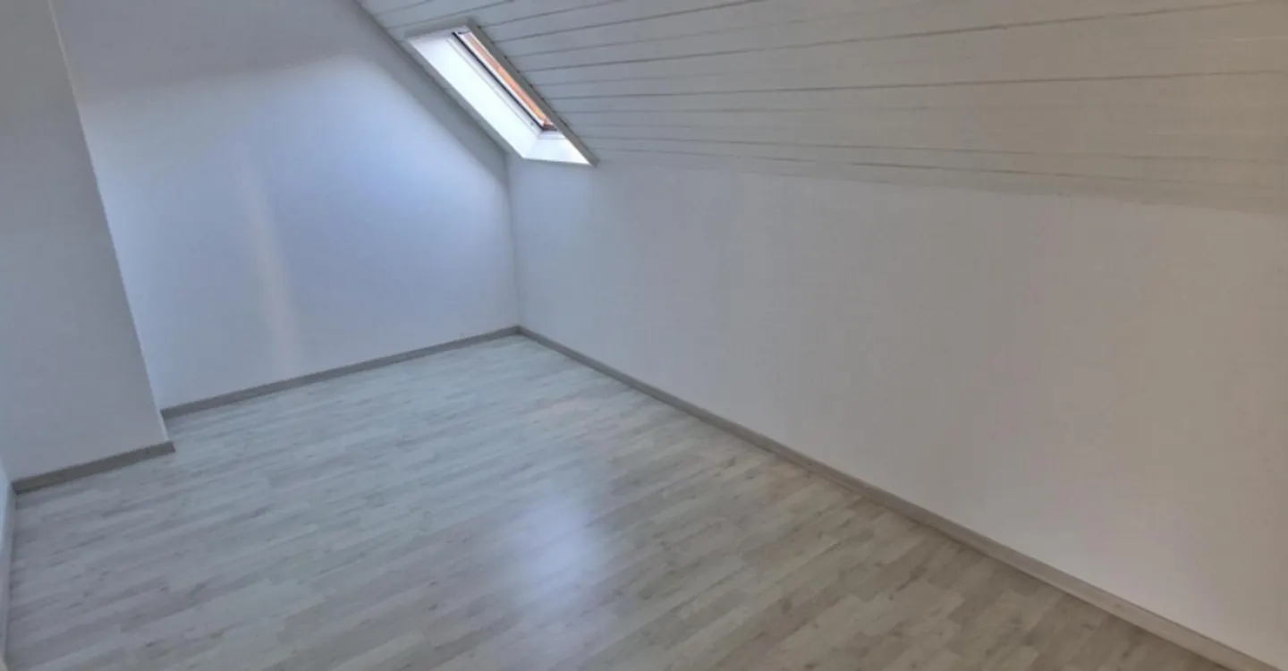 Renovated Apartment with Rooftop Terrace - Photo 5 of 11