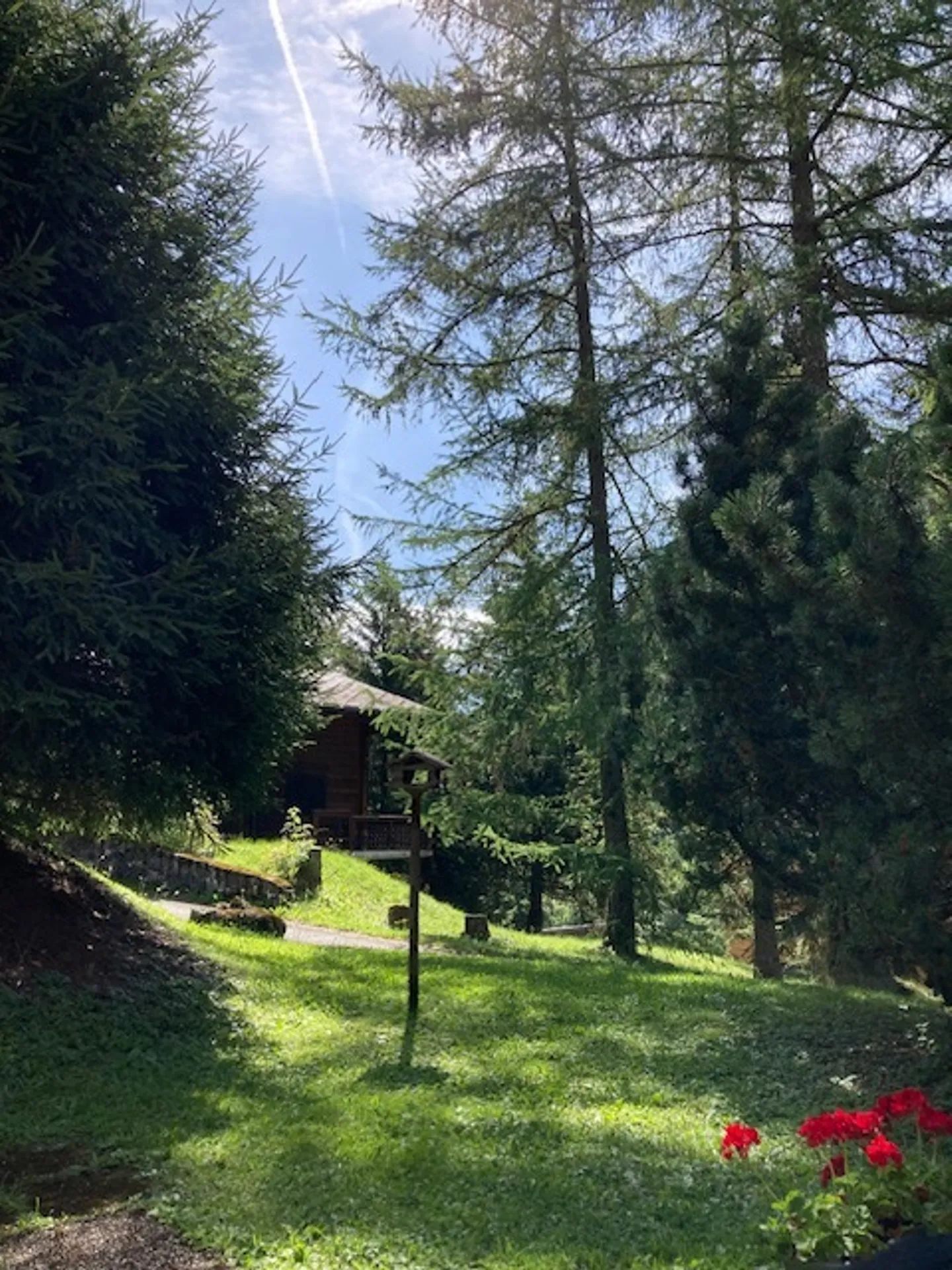 2-Zimmer-Wohnung - Foto 10 von 12