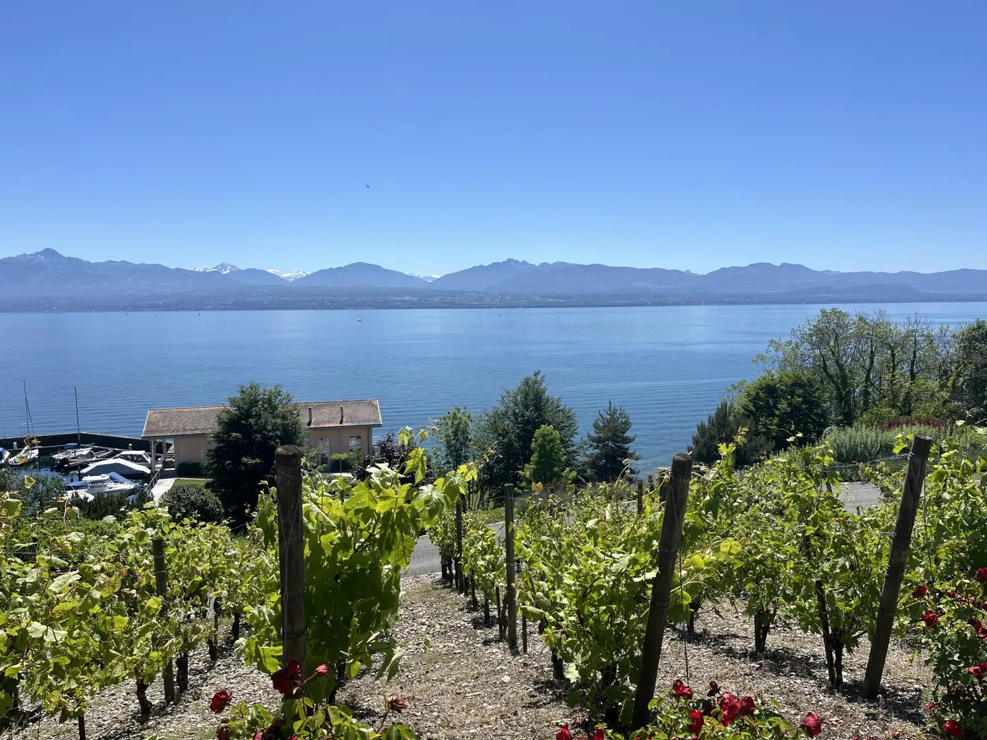 Appartement Lacustre Exceptionnel - Photo 2 sur 34