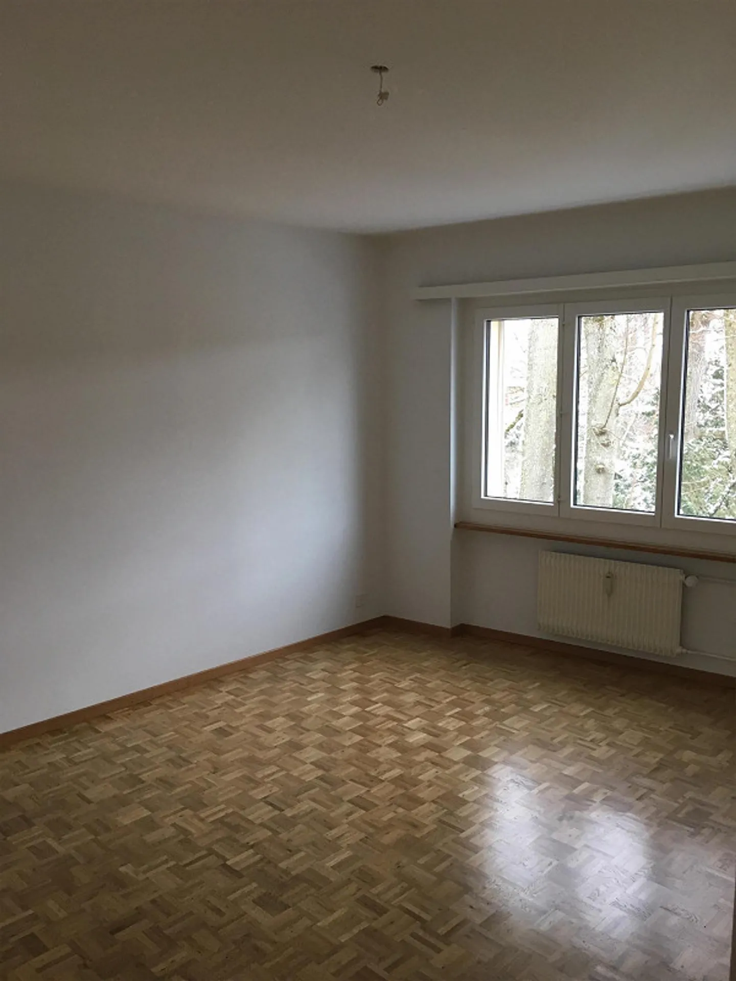 Charmante Wohnung in Bern - Foto 5 von 8