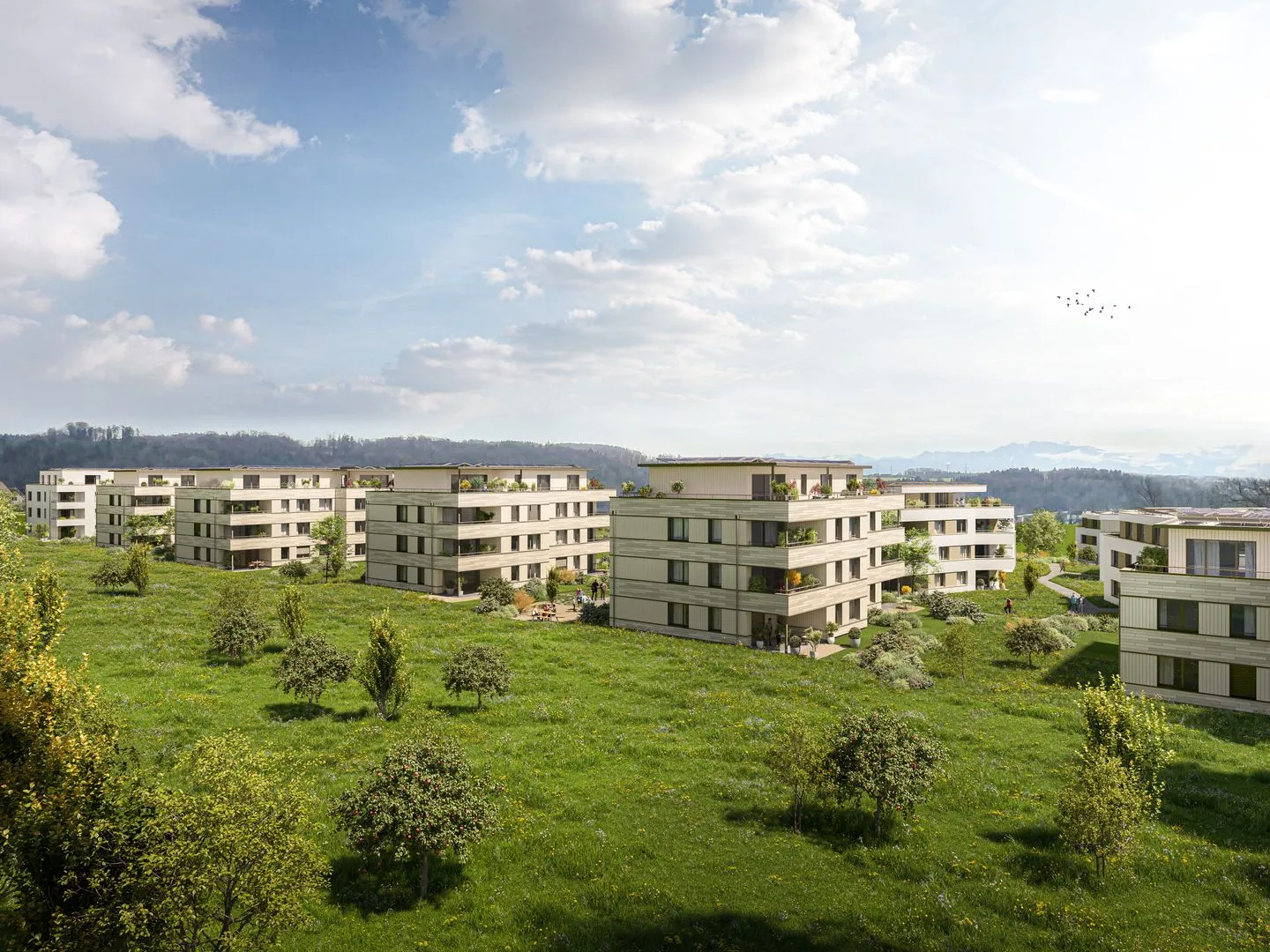 Nuovo progetto di costruzione "Coll d'Or" - Appartamento 5 1/2 camere - Foto 1 di 7