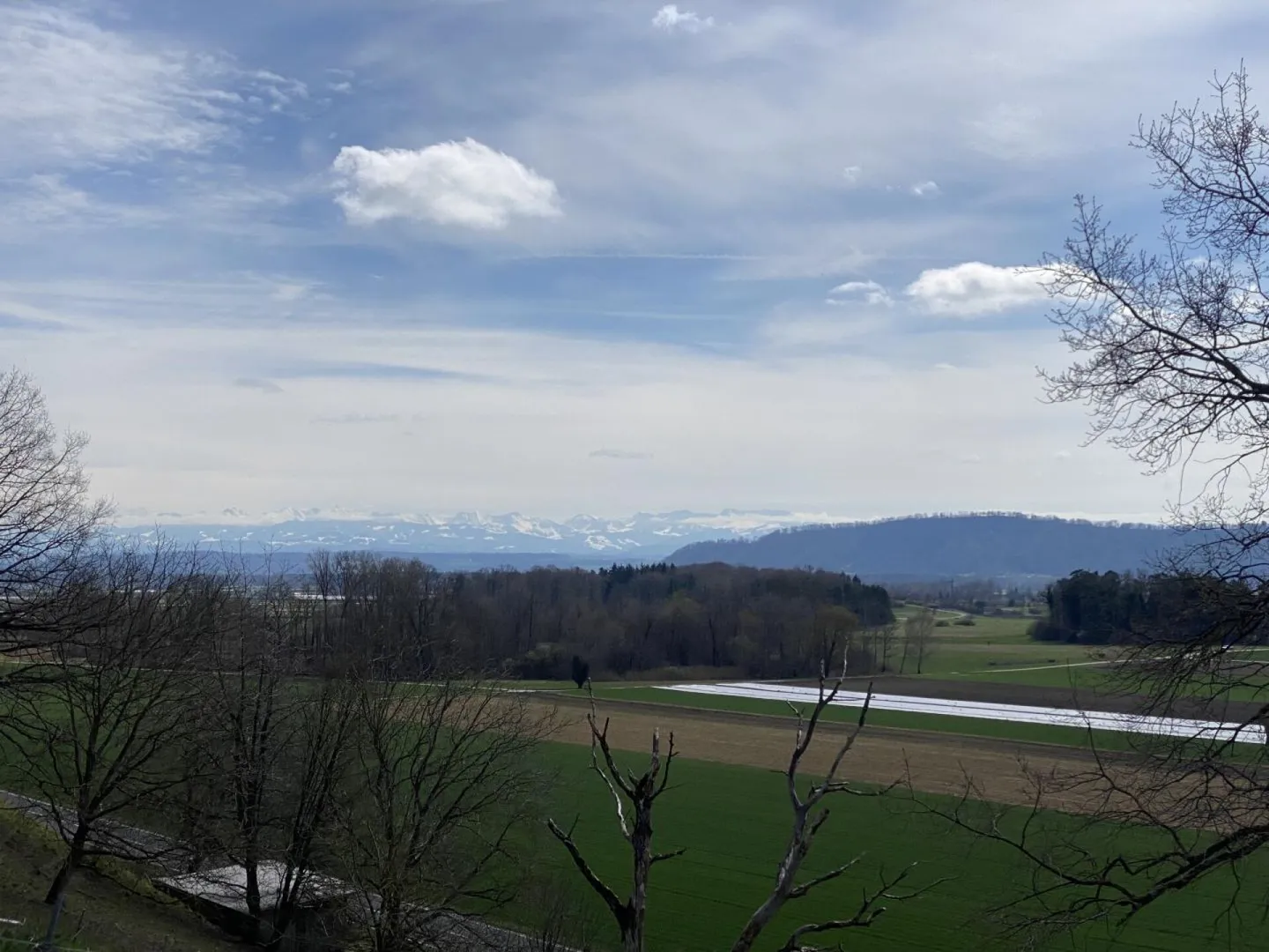 Gampelen/ BE - Appartamento 3.5 stanze (N° 7) - Foto 3 di 5