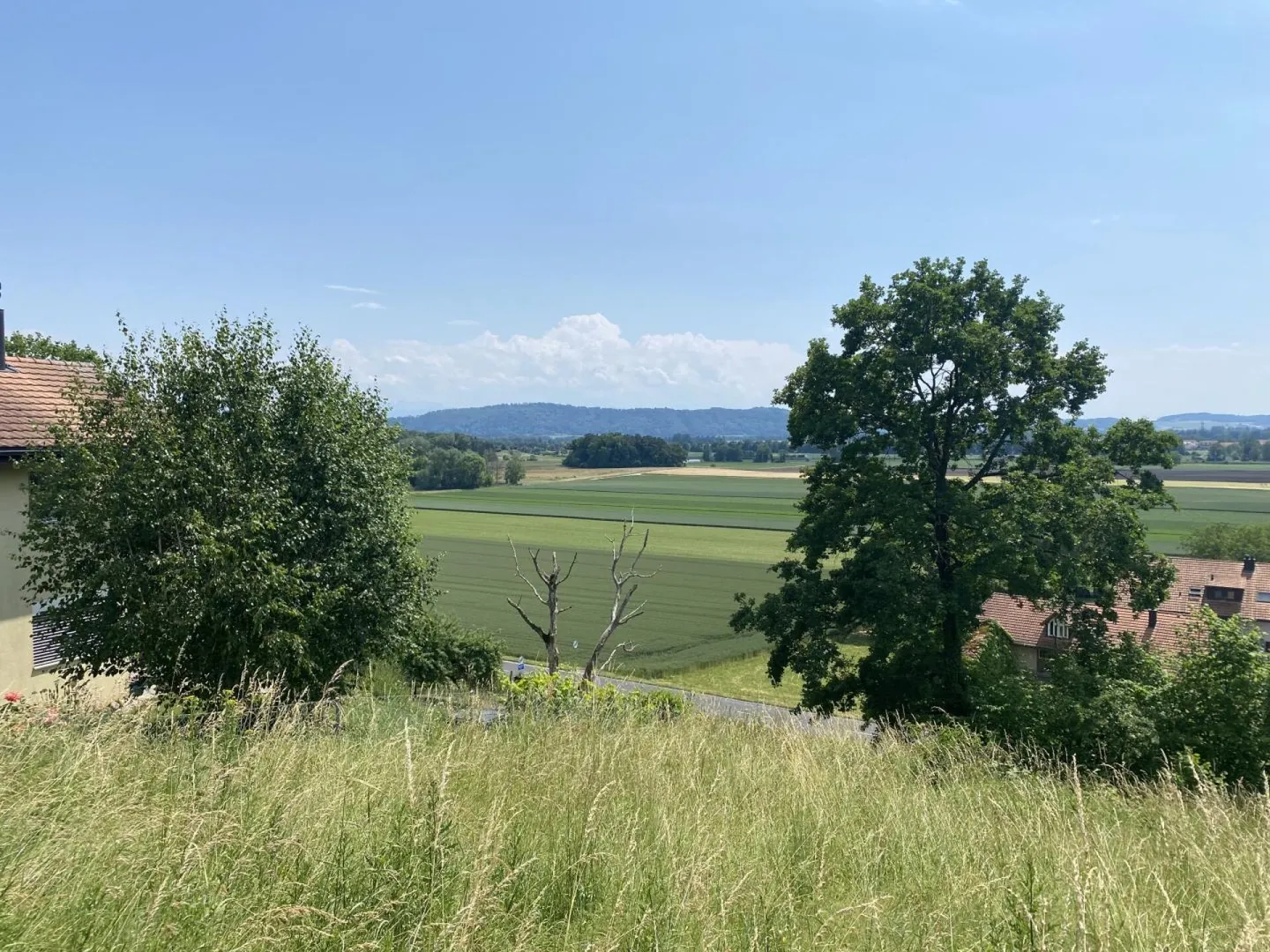 Gampelen/ BE - Appartamento 3.5 stanze (N° 7) - Foto 4 di 5
