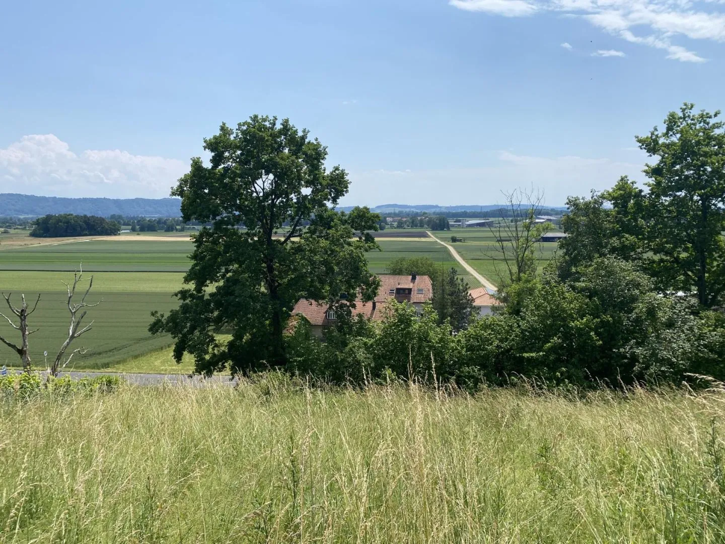 Gampelen/ BE - Appartamento 3.5 stanze (N° 7) - Foto 5 di 5