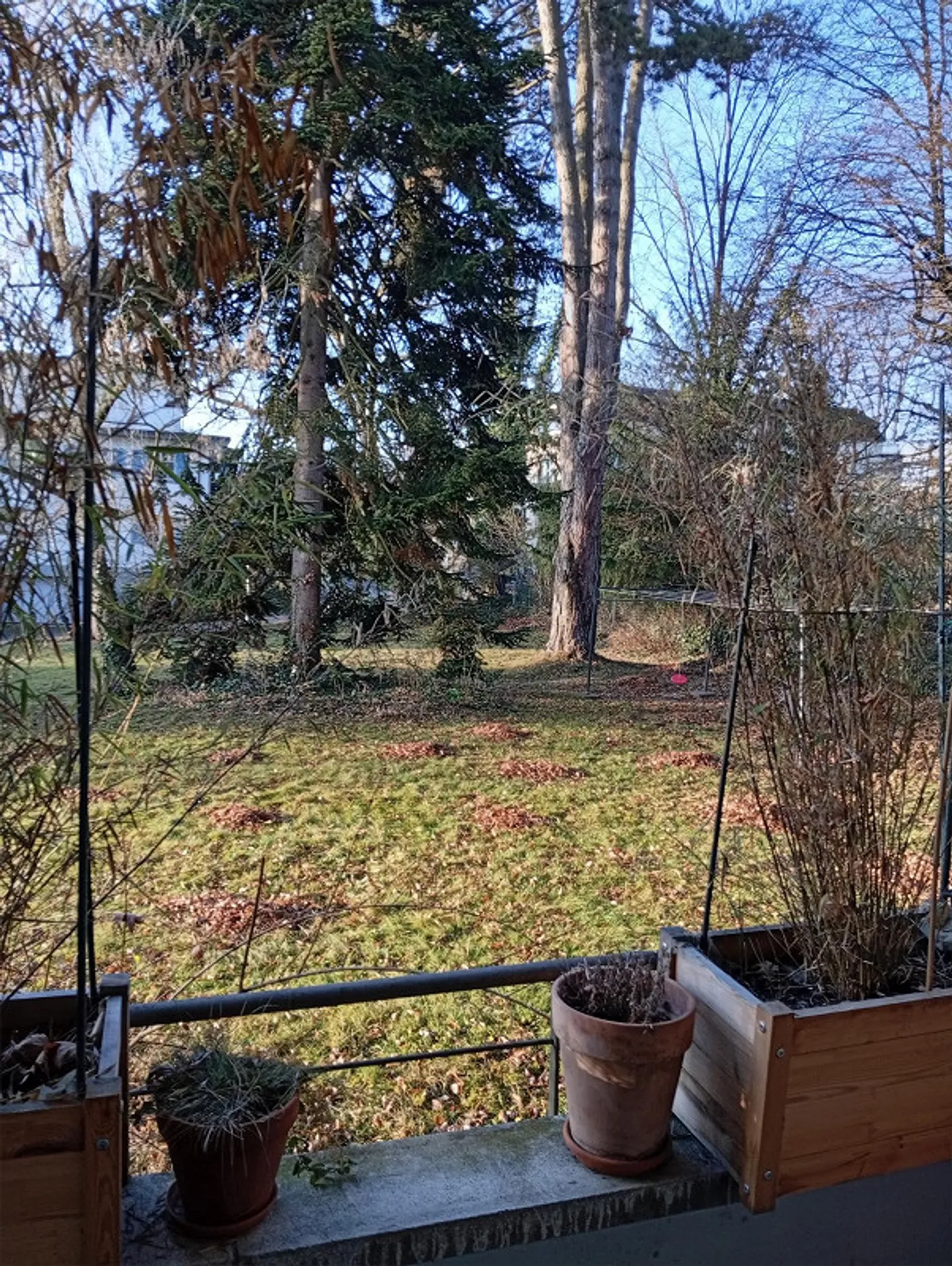 Bright 2-room apartment with large balcony overlooking greenery - Photo 2 of 2