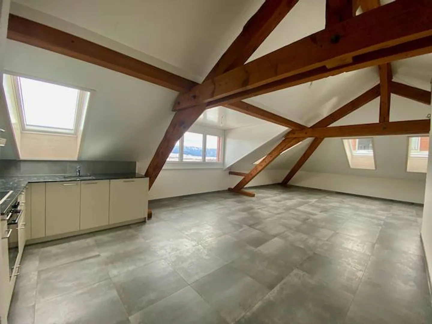 Magnificent spacious apartment, suitable for people with reduced mobility, 3 rooms, in the Attic, with elevator - Photo 3 of 8