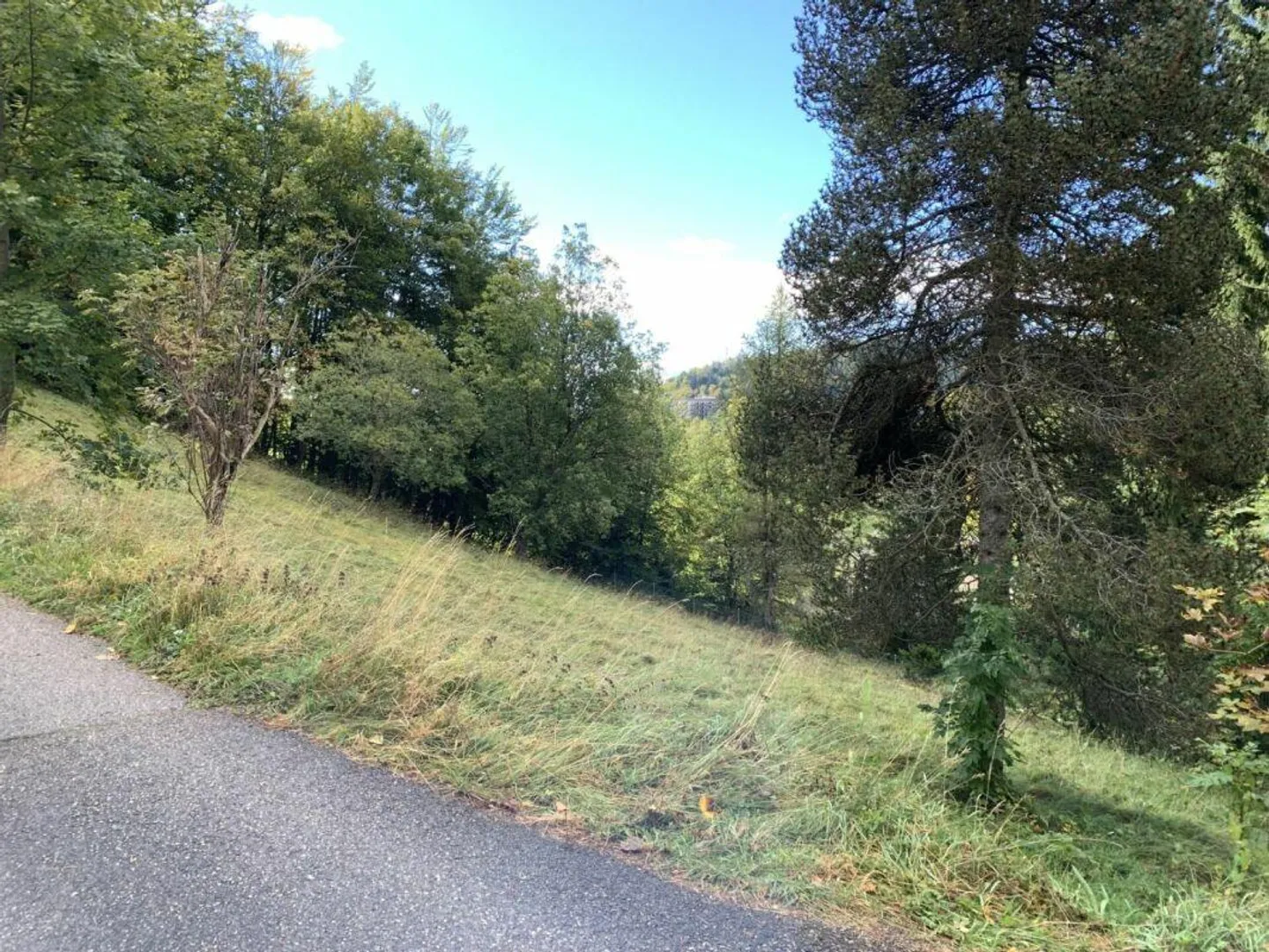 Land in St-Cergue - Photo 2 of 7