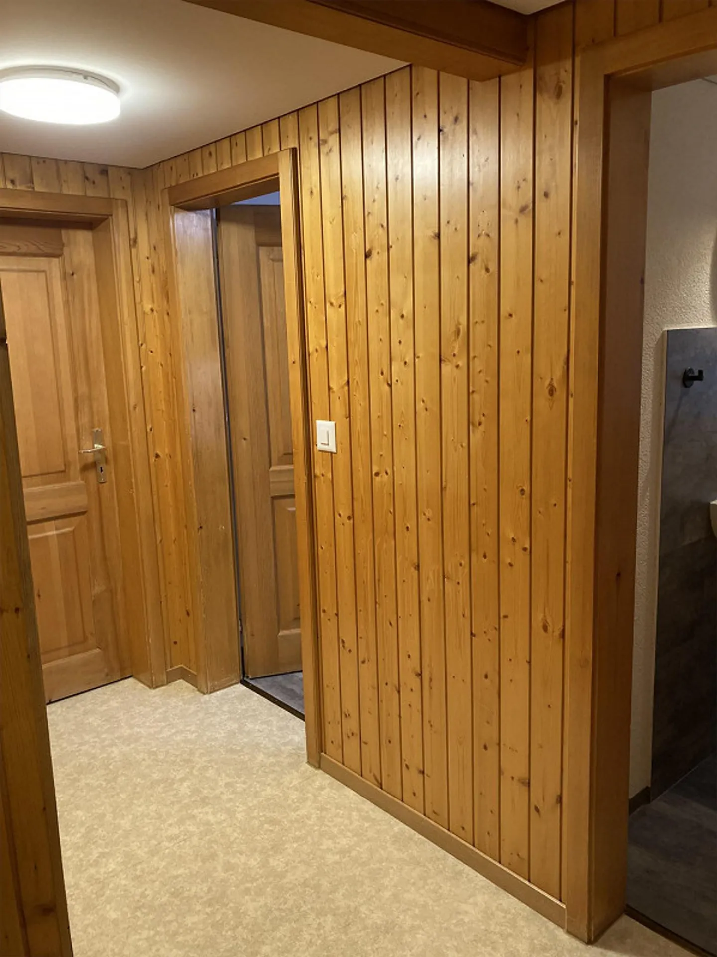 Accogliente appartamento di 3 1/2 stanze nel centro del villaggio di Hemberg - Foto 14 di 15