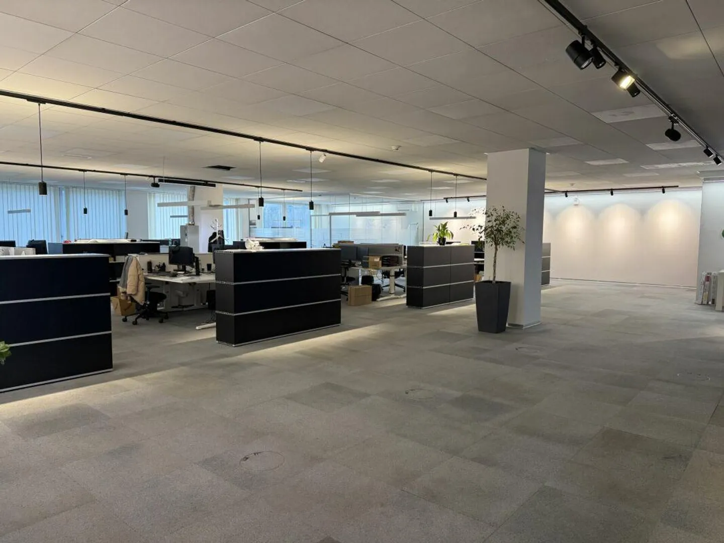 Spazi per uffici luminosi a Dreispitz - Foto 4 di 9