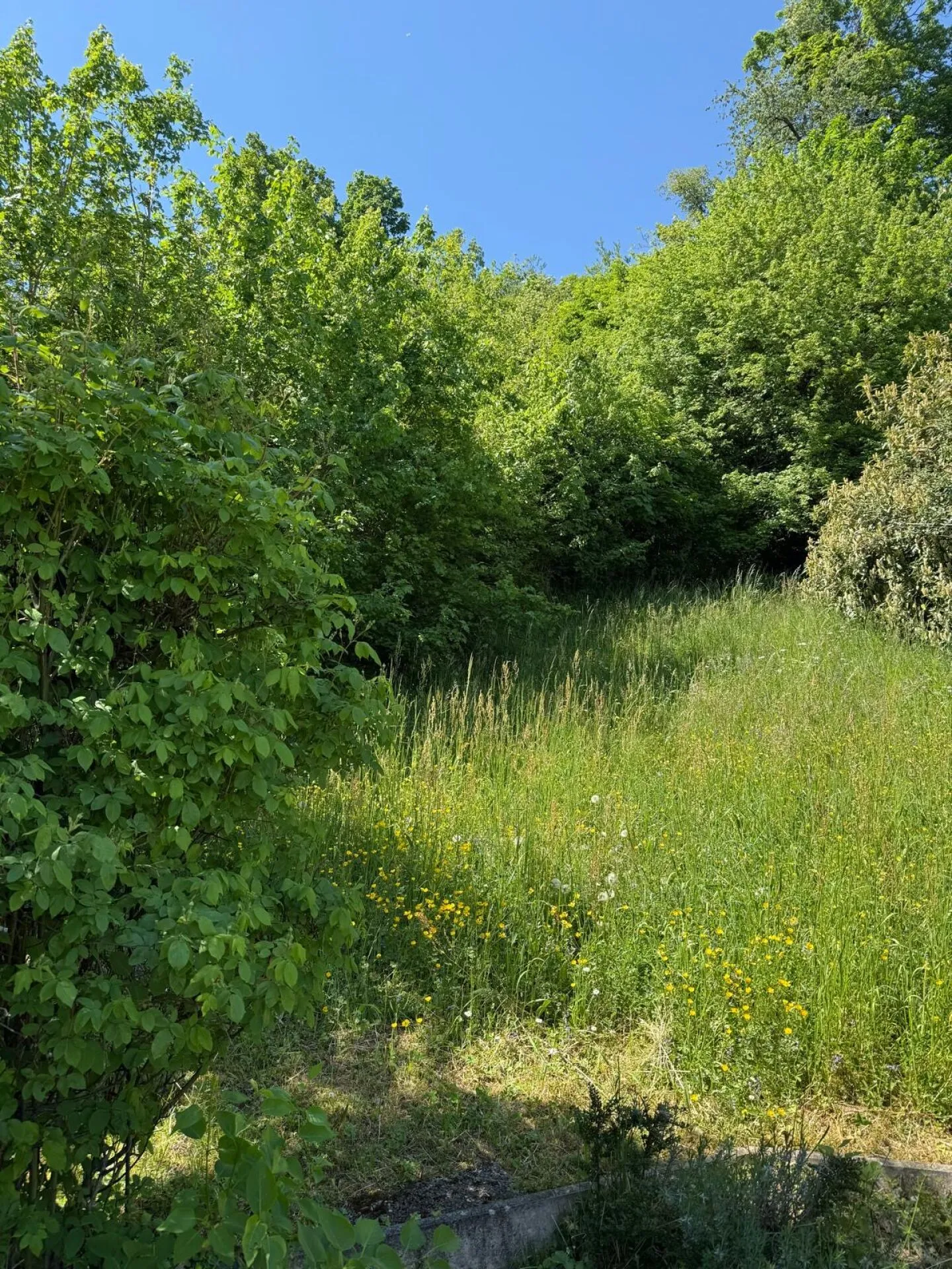 Exklusive 5.5-Zimmer-Wohnung mit Seeblick - Foto 11 von 12
