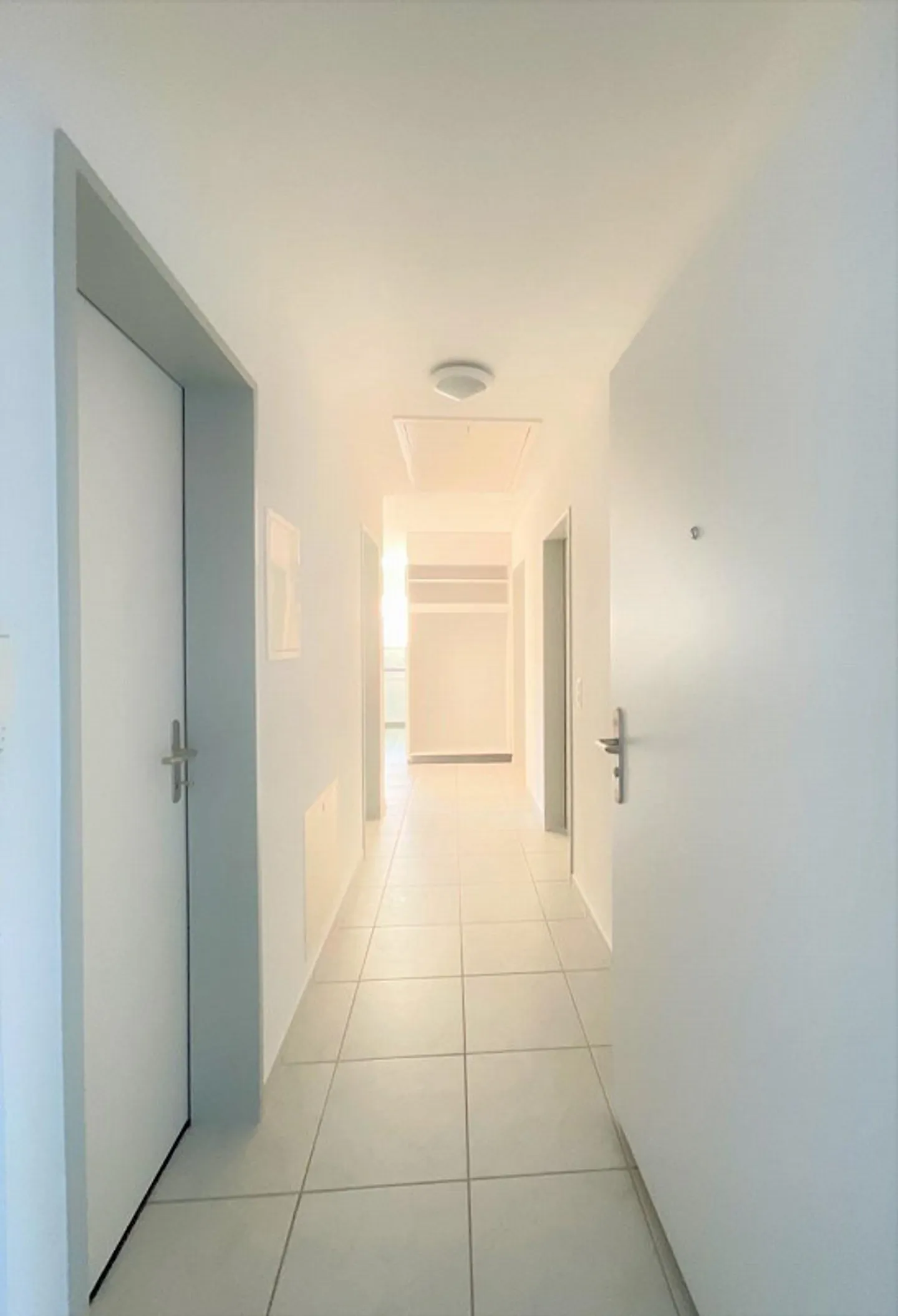 Ampio appartamento conveniente per famiglie/single/coppie vicino a Olten - Foto 10 di 13
