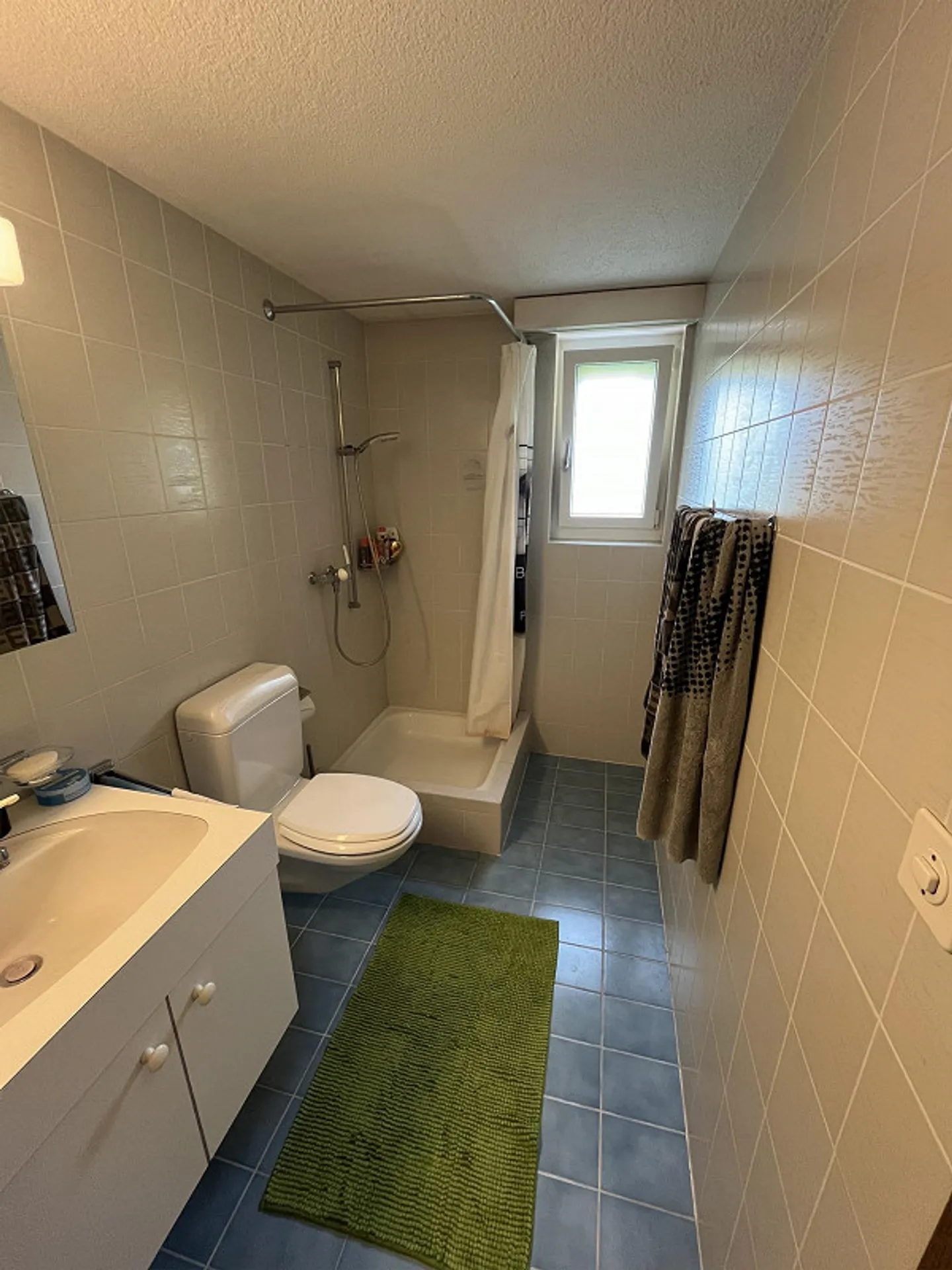 5.5 Zimmer - Einfamilienhaus in Diepoldsau - Foto 23 von 27