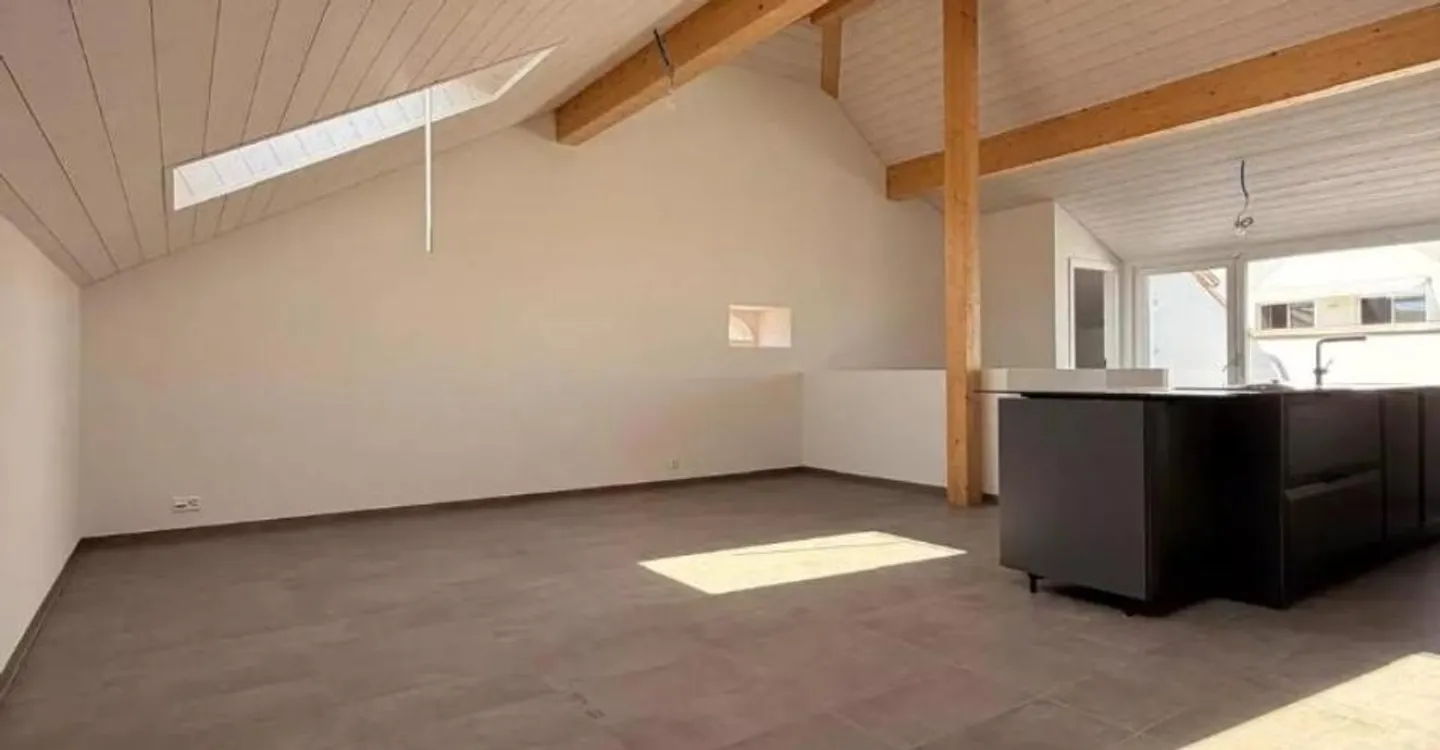 Duplex Charmant dans Ferme Rénovée - Photo 2 sur 13