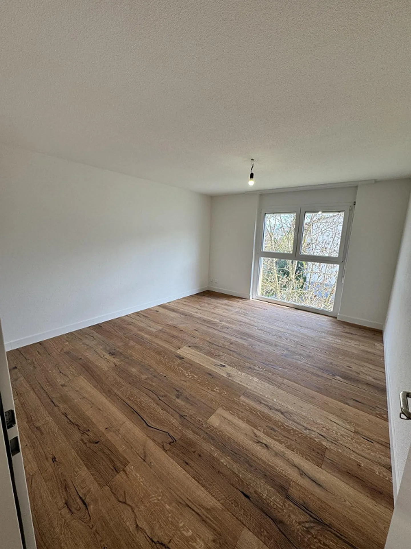 Newly renovated 3.5 room apartment for rent in Beinwil am See - Photo 3 of 8