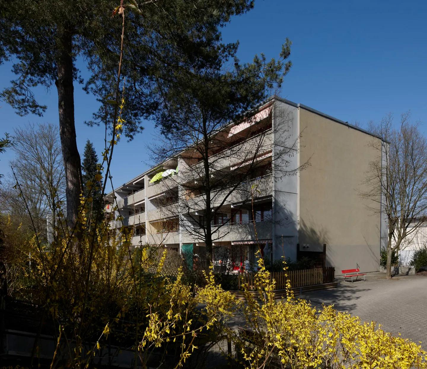 Living in a green environment - Photo 1 of 5