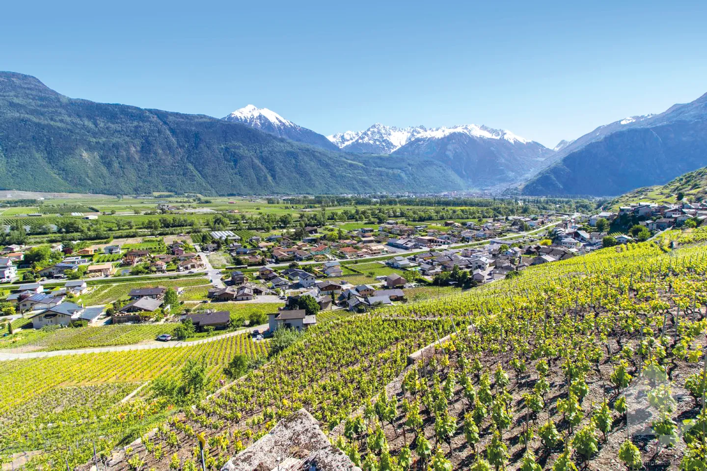 Commercial space for sale in the center of Fully - Photo 3 of 3