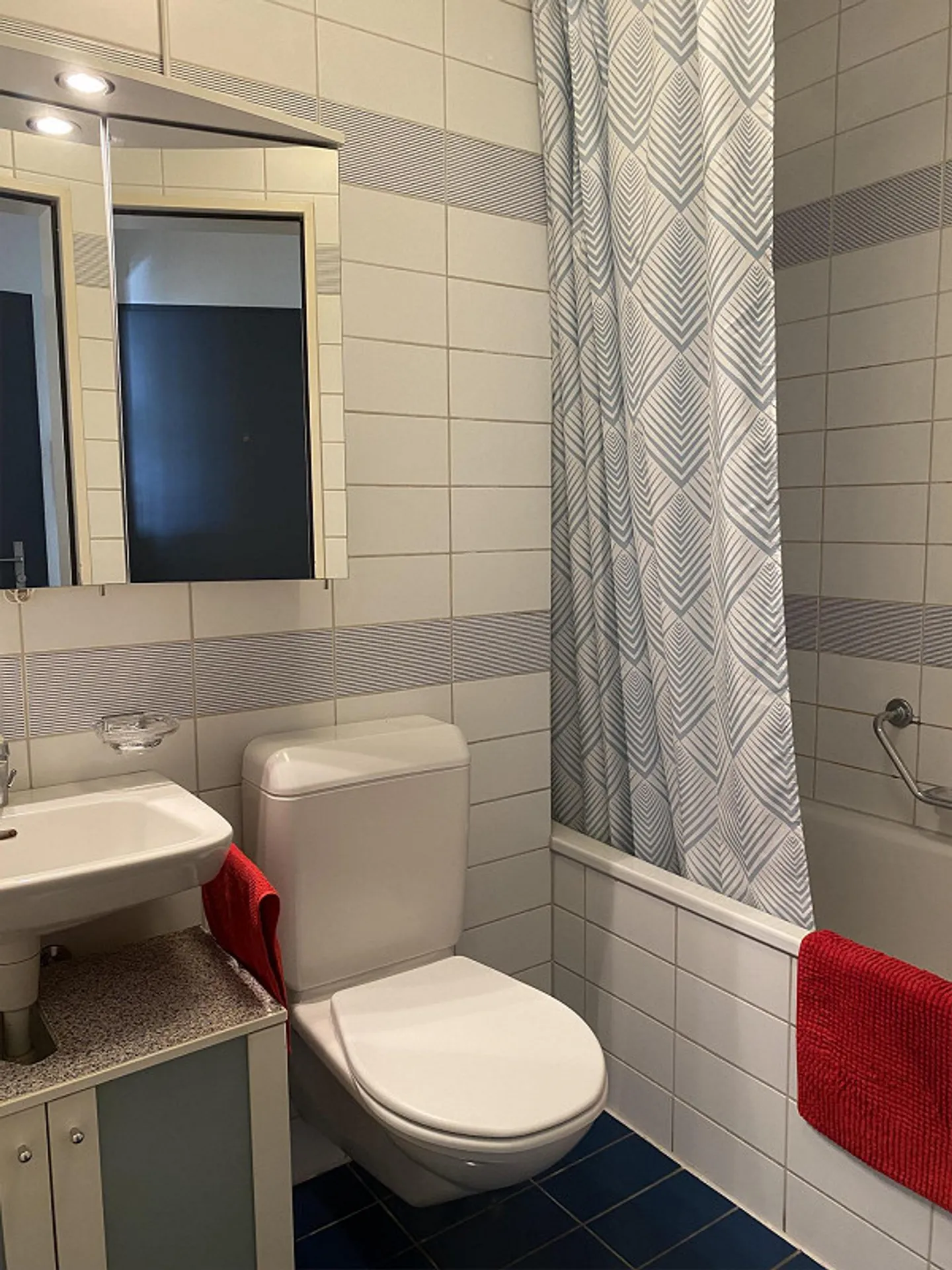 Furnished 2.5-room apartment - Photo 7 of 7