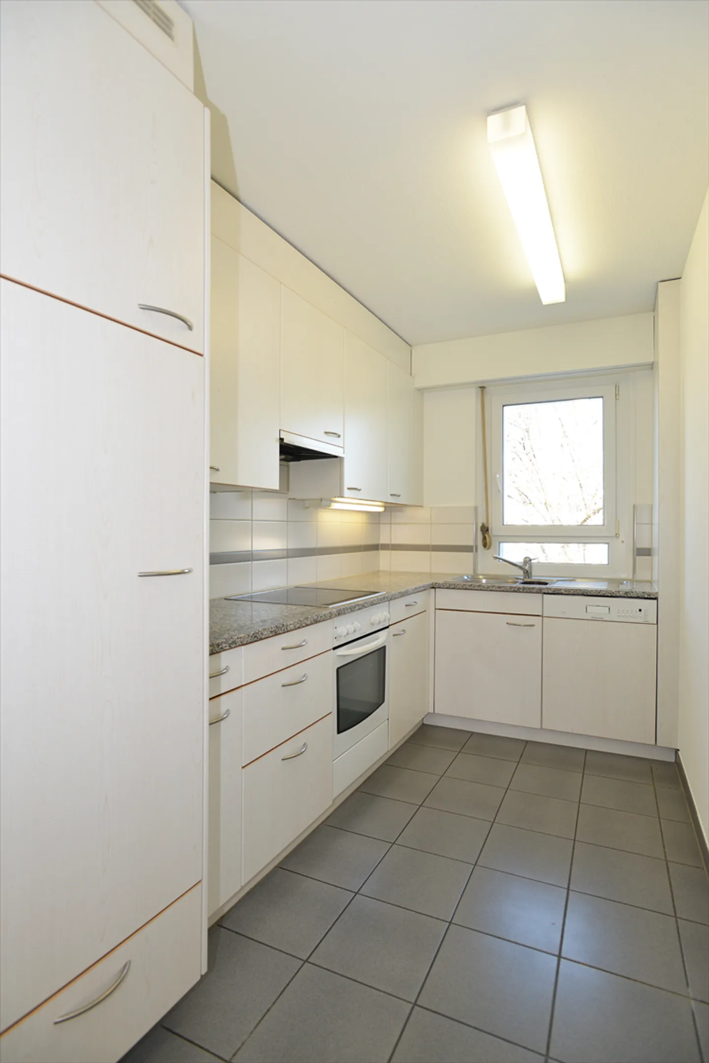 Più natura, più tranquillità - La tua nuova casa al lago di Greifen! - Foto 4 di 7