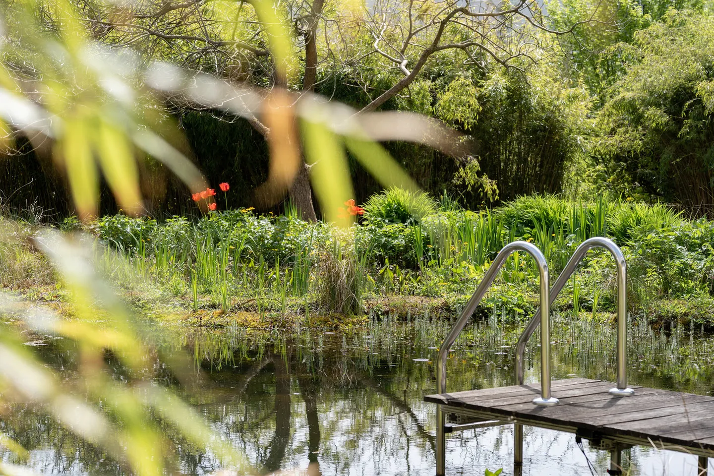 Mansion with large farmhouse (NEAR MURTEN) - Photo 5 of 18