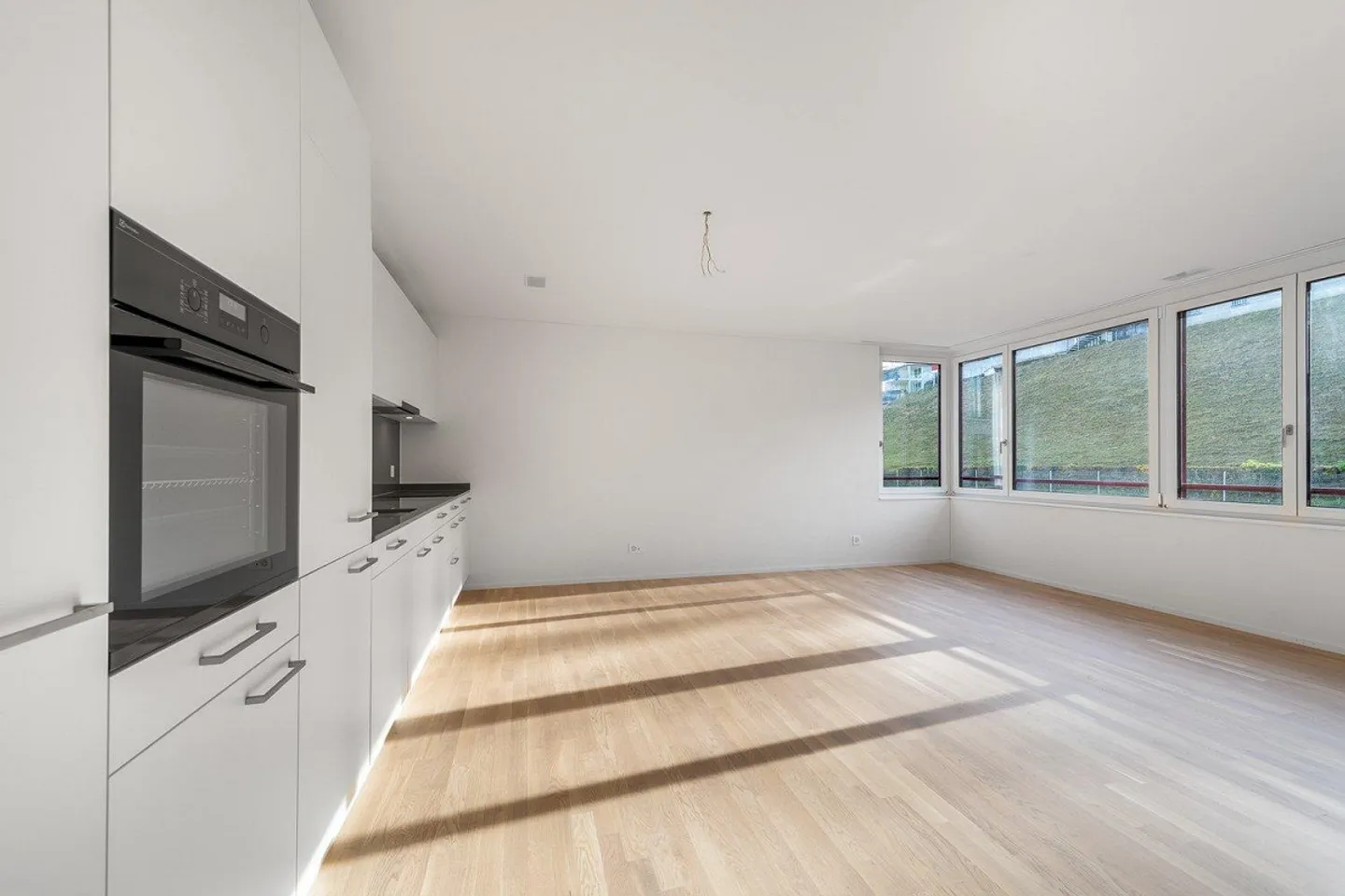 FIRST RENTAL "AuPark" - Living by Lake Zurich - Photo 3 of 12