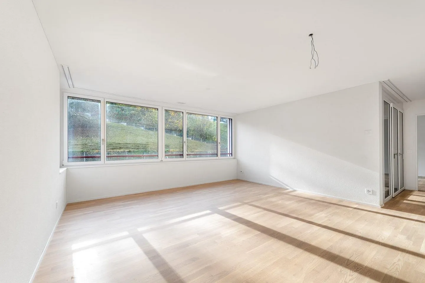 FIRST RENTAL "AuPark" - Living by Lake Zurich - Photo 7 of 12