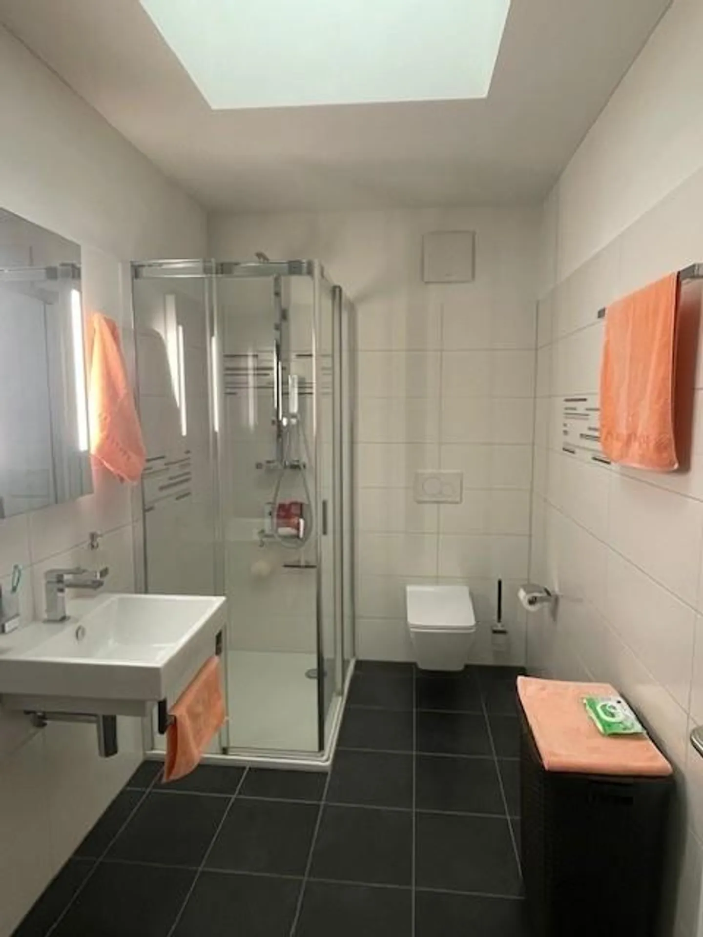 Modern 3.5 rooms with large terrace in Monte Carasso. - Photo 6 of 11