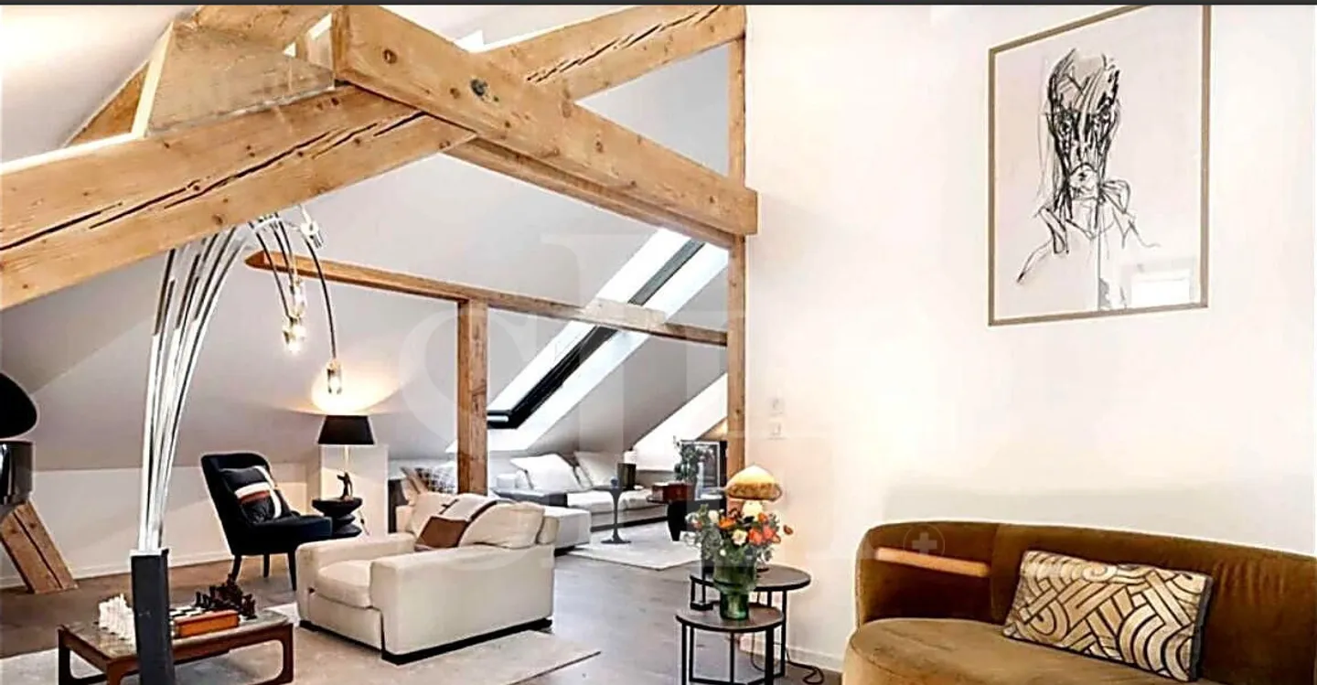 Charming Duplex in Geneva's Old Town - Photo 3 of 10