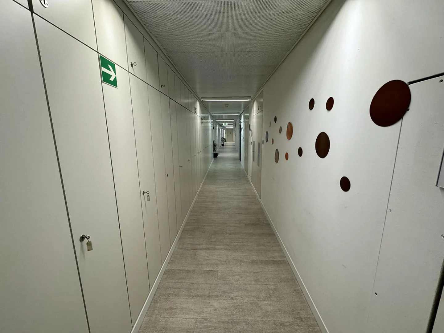 Gewerbefläche zu Vermieten - Foto 9 von 29