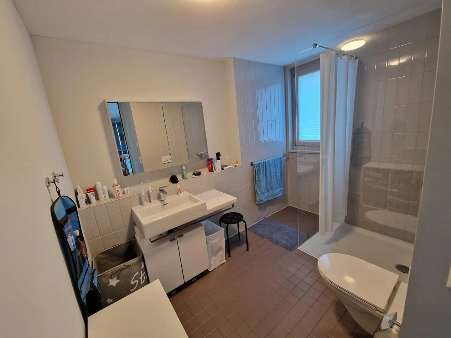 Moderno appartamento attico di 2,5 stanze a Zurigo Höngg - Foto 5 di 7
