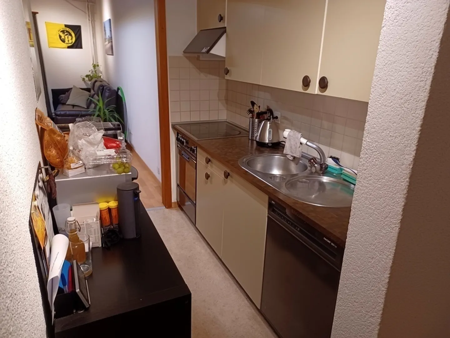 Appartement confortable près de l'Aare - Photo 3 sur 7