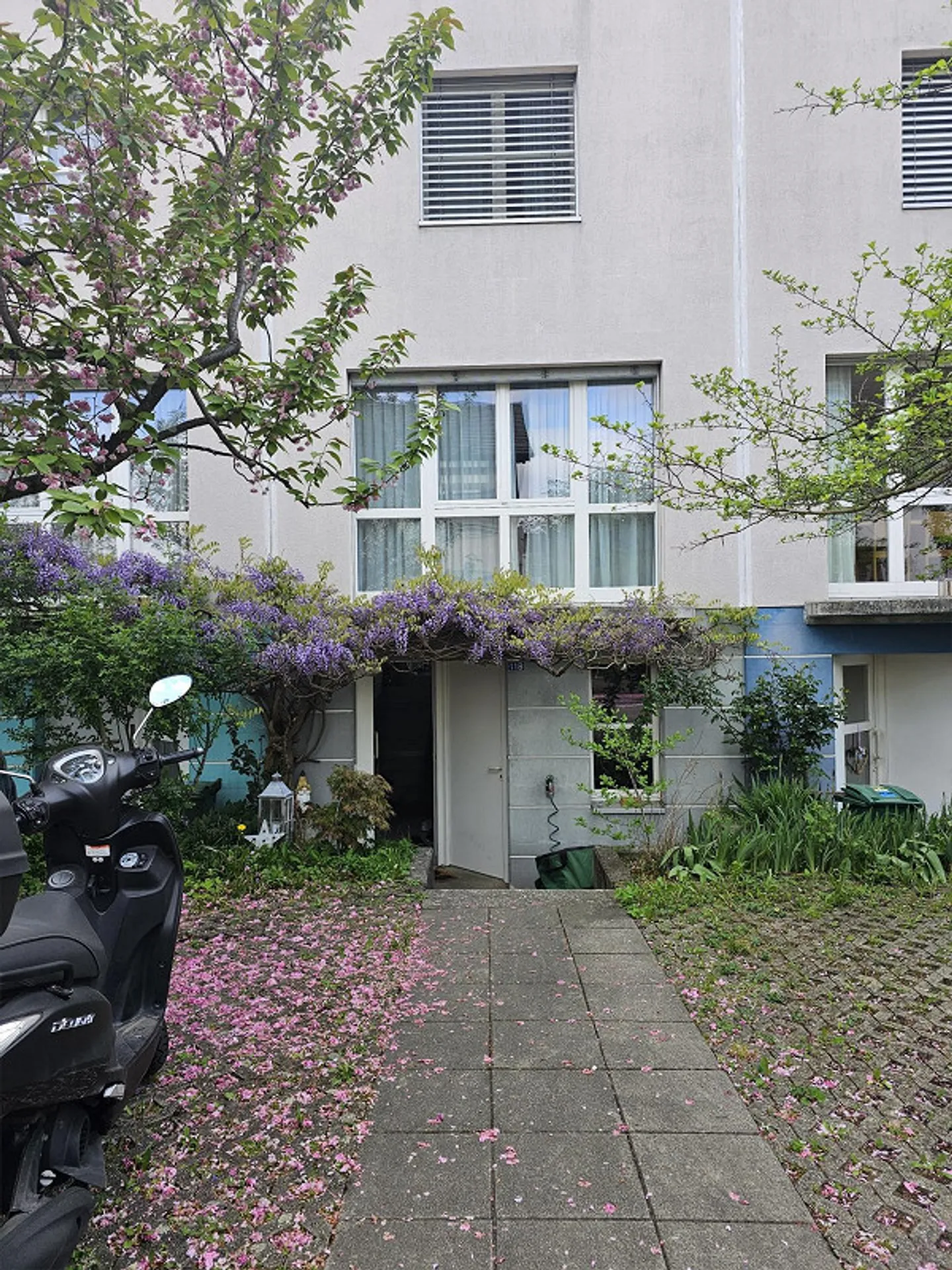 Cercasi nuovo inquilino per un ampio appartamento familiare ad Allschwil BL - Foto 1 di 16