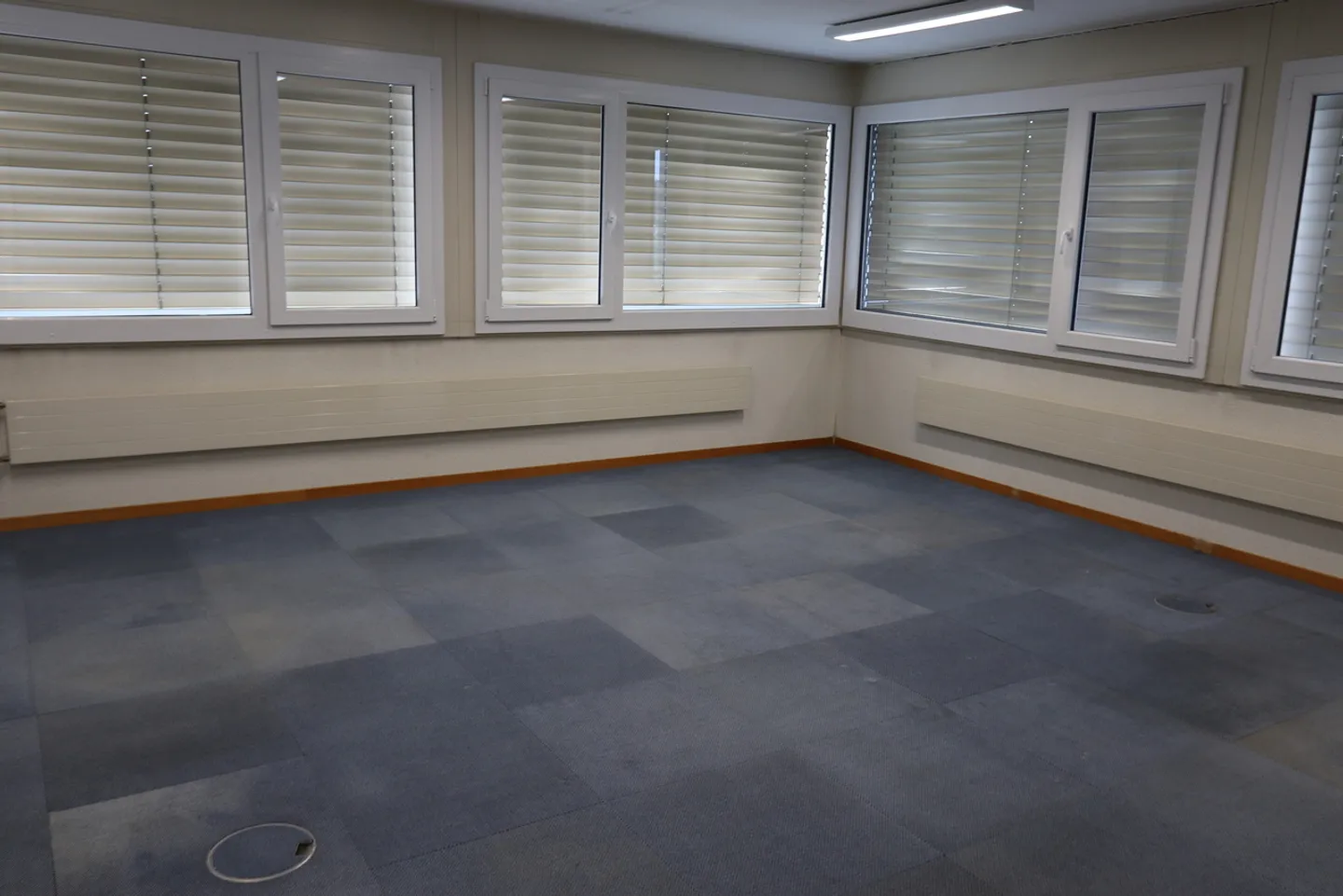 Commercial property in a central and beautiful green location - Photo 6 of 6